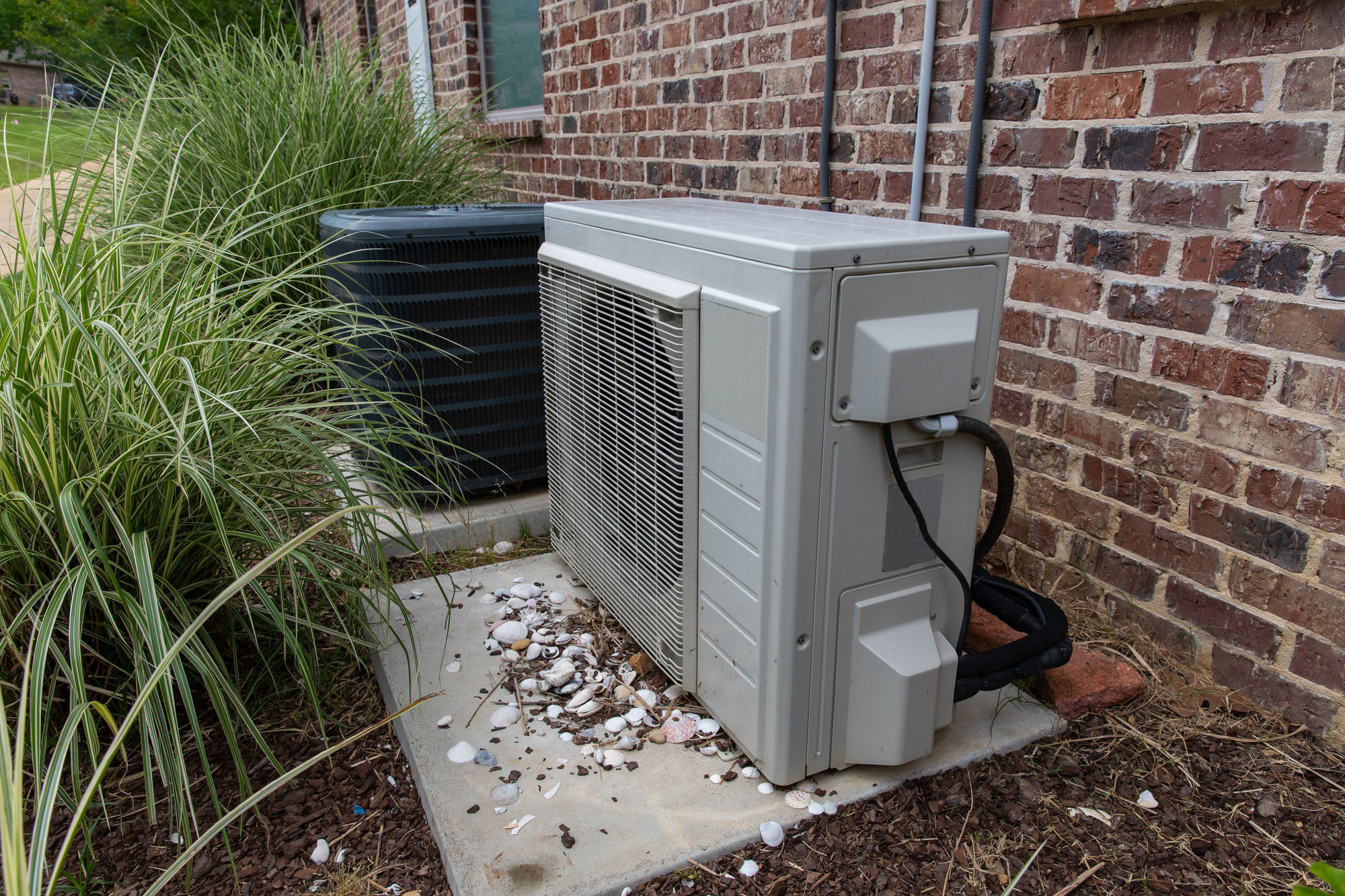 Outdoor air conditioning units on a concrete pad beside a brick building, surrounded by grass and mulch.